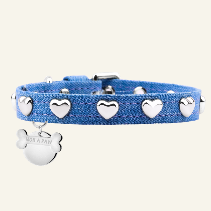 Lovefool Ice Blue Denim Köpek Tasması 🤍
