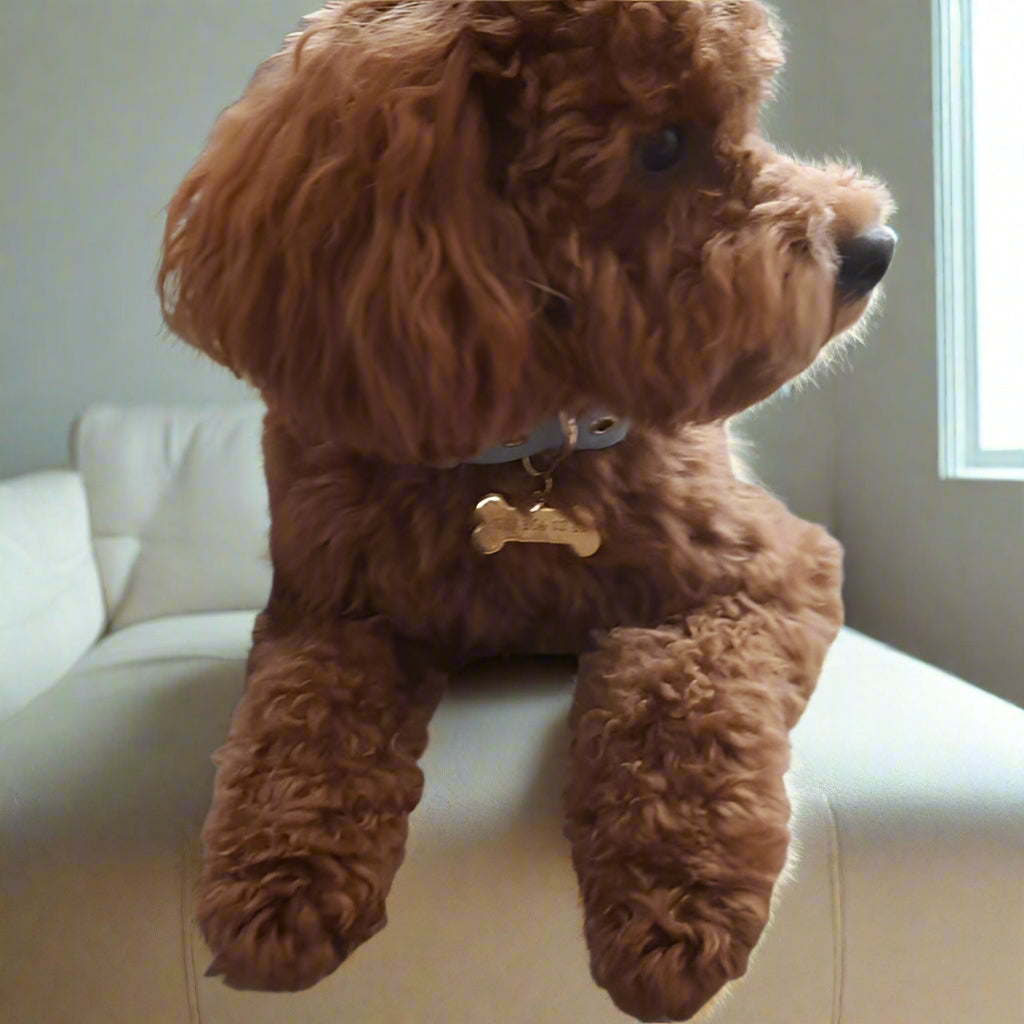 Süet Nazar Boncuklu Köpek Boyun Tasması | Azure 🧿
