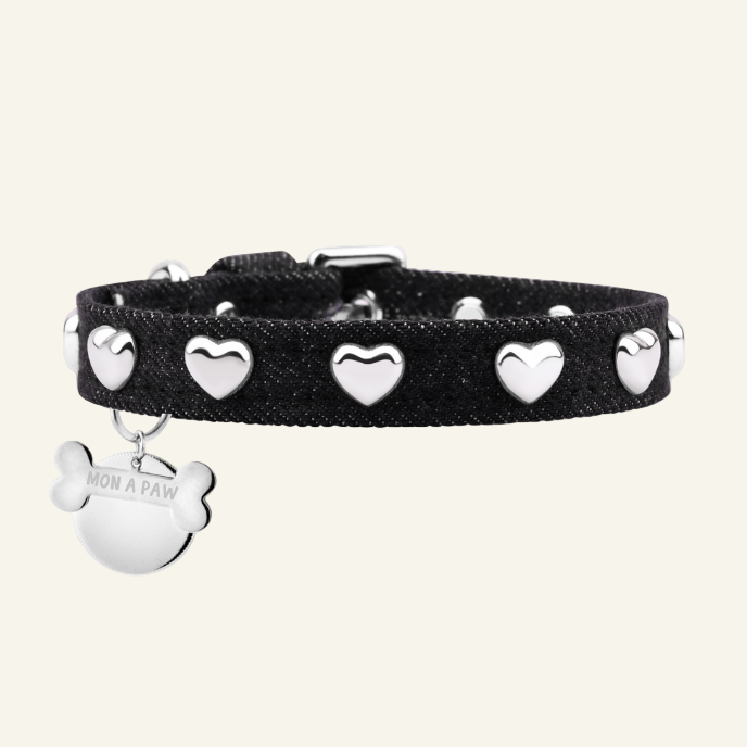 Lovefool Nero Denim Köpek Tasması 🖤