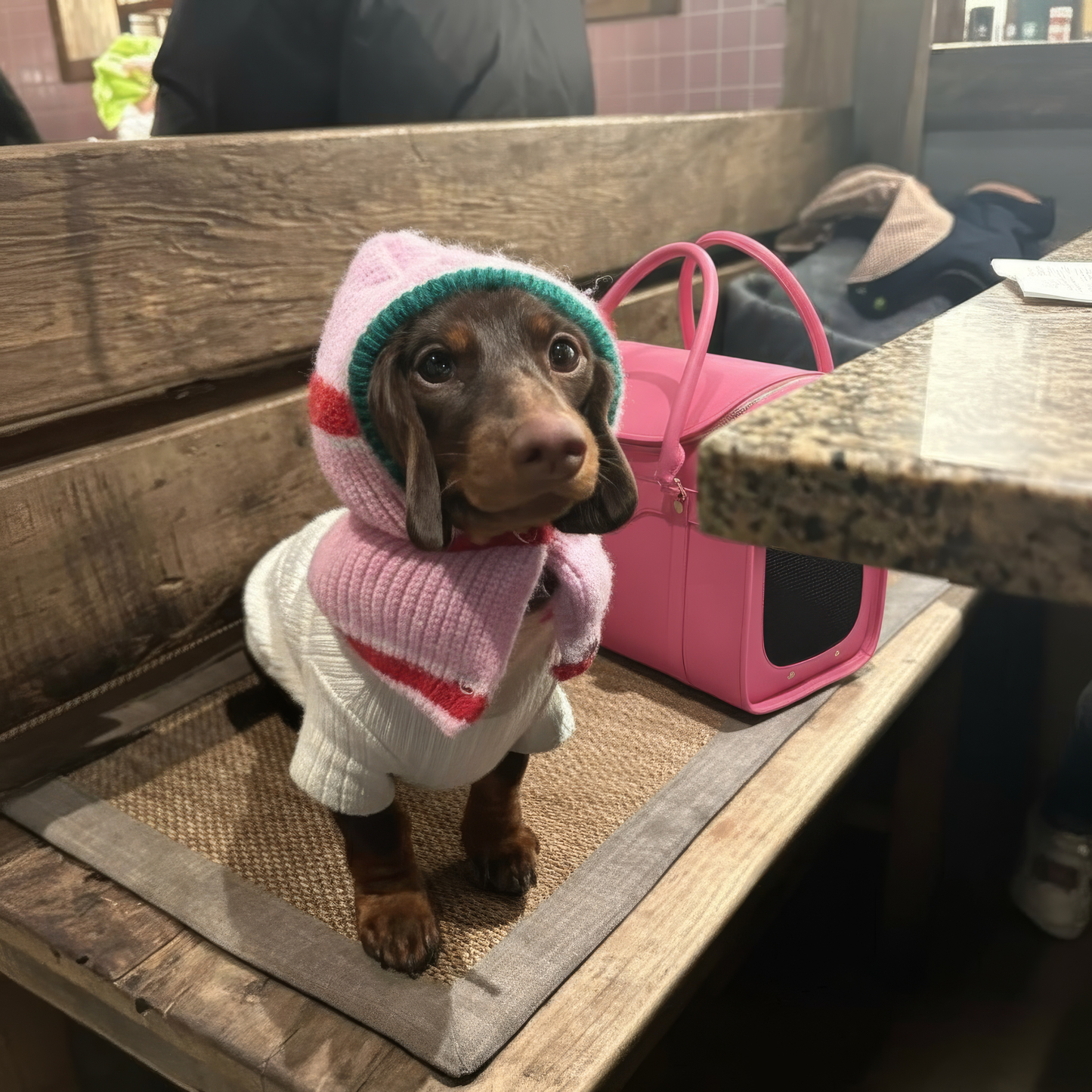 Evcil Hayvan Seyahat Çantası - Barbie 🎀