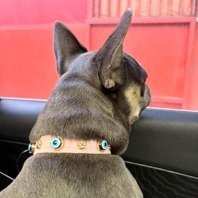 MAUVAIS Nazar Boncuklu Süet Köpek Tasması | Pembe 🧿