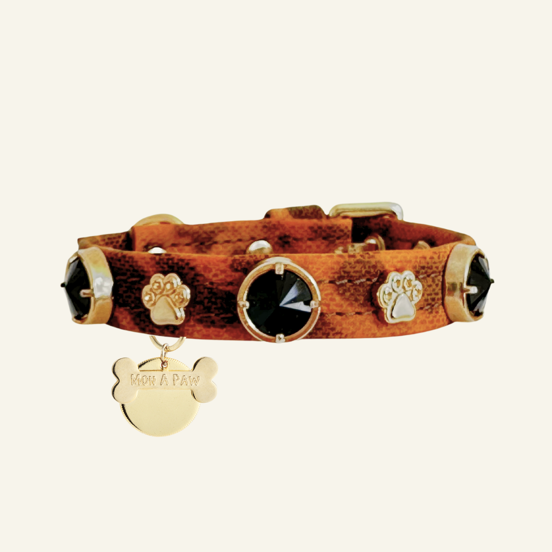 Leopard Swarovski Köpek Tasması 🐆