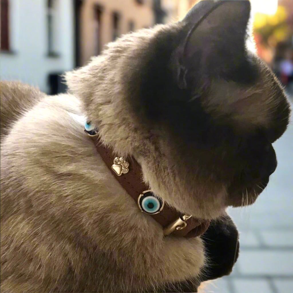 MAUVAIS Nazar Boncuklu Süet Köpek Tasması | Kahve 🧿