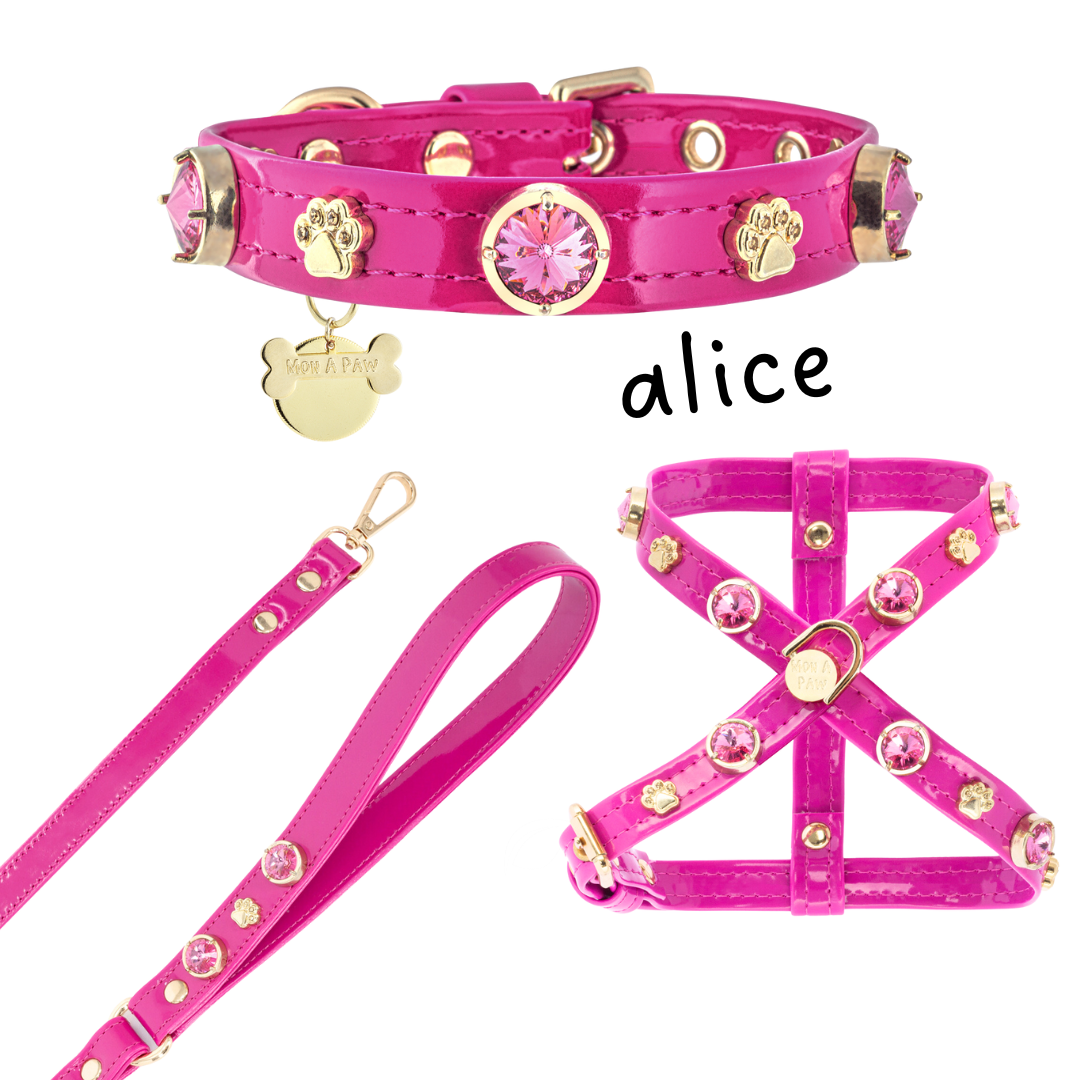 Alice Swarovski Köpek Gezdirme Tasması