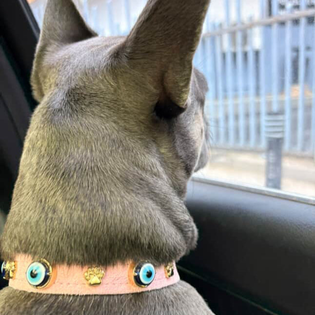MAUVAIS Nazar Boncuklu Süet Köpek Tasması | Pembe 🧿