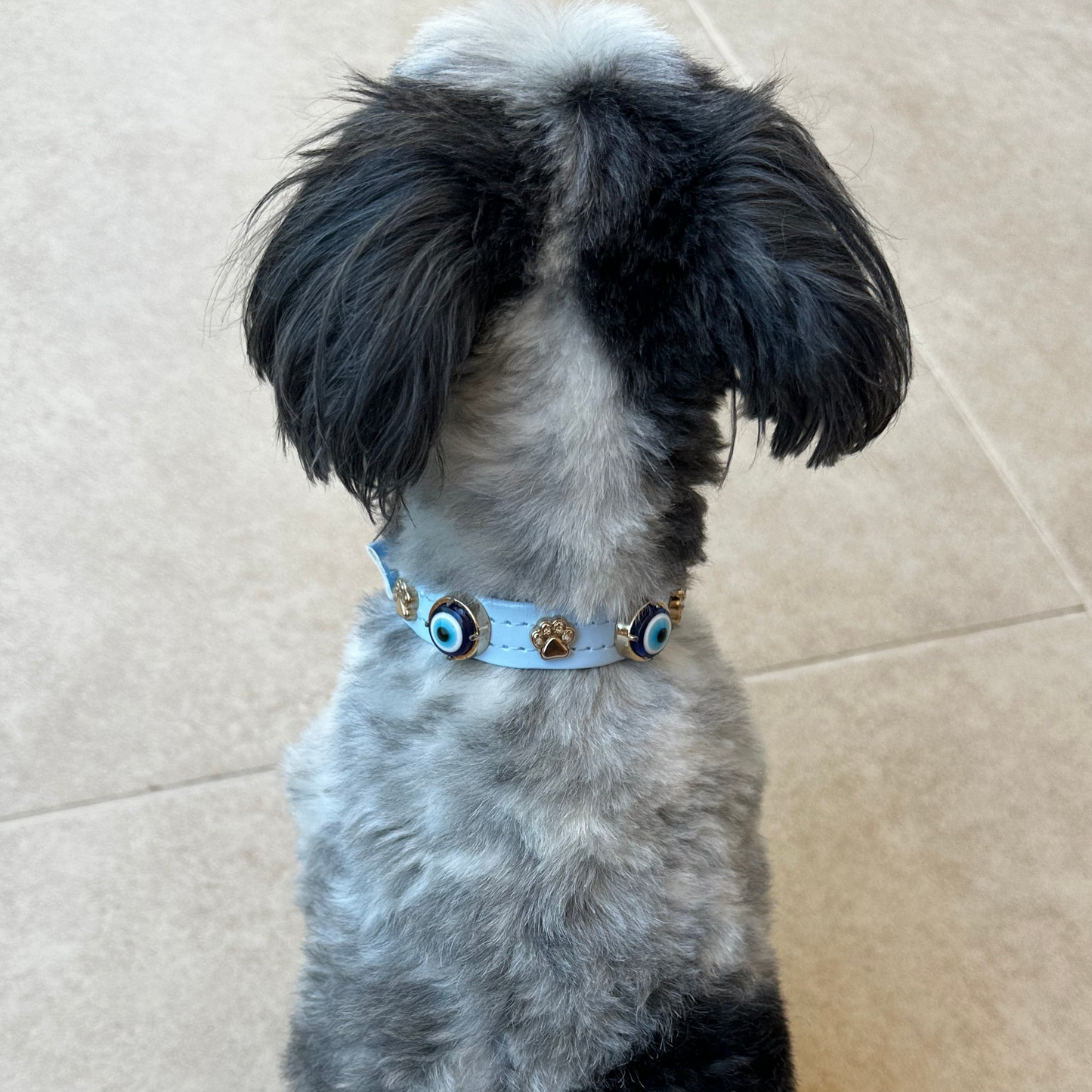 MAUVAIS Nazar Boncuklu Bebek Mavisi Köpek Tasması 🧿.