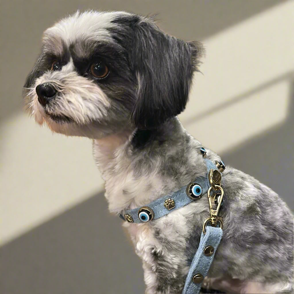 MAUVAIS Nazar Boncuklu Azure Süet Köpek Göğüs Tasması 🧿