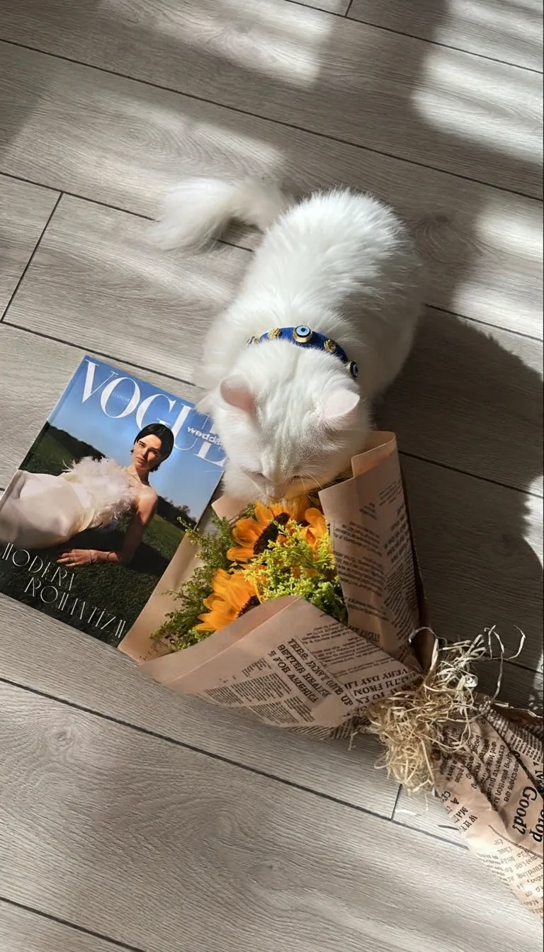 Süet Nazar Boncuklu Köpek Boyun Tasması | Royal Blue 🧿