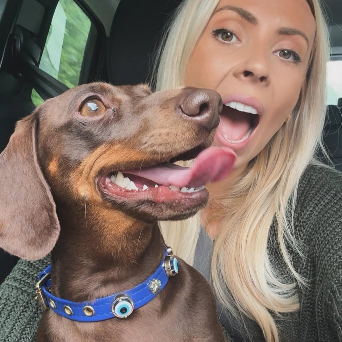 MAUVAIS Nazar Boncuklu Sax Mavi Köpek Tasması 🧿