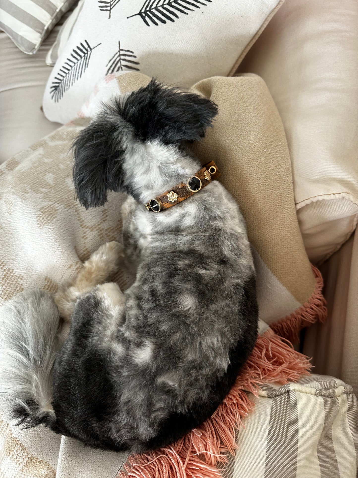 Leopard Swarovski Köpek Tasması 🐆