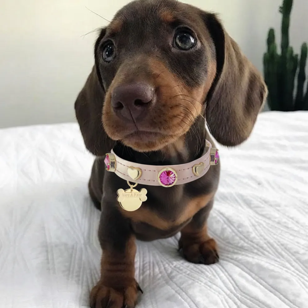 Emma Swarovski Köpek Tasması 💎