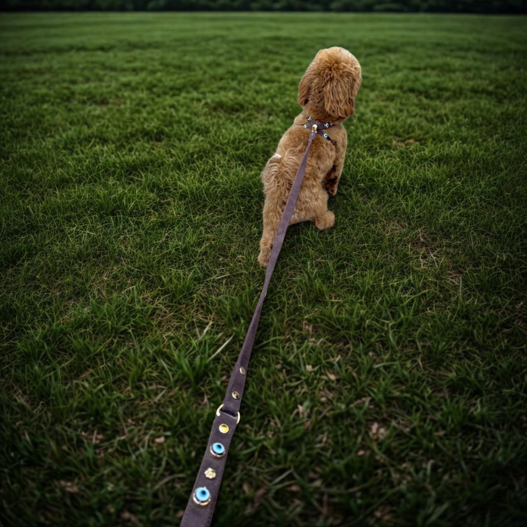 MAUVAIS Nazar Boncuklu Süet Köpek Göğüs Tasması | Bitter 🧿