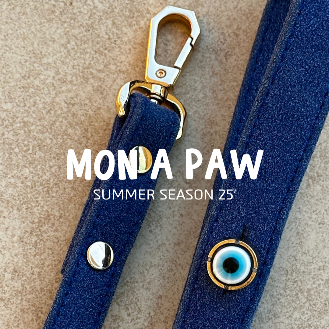 Süet Nazar Boncuklu Köpek Gezdirme Tasması | Royal Blue 🧿