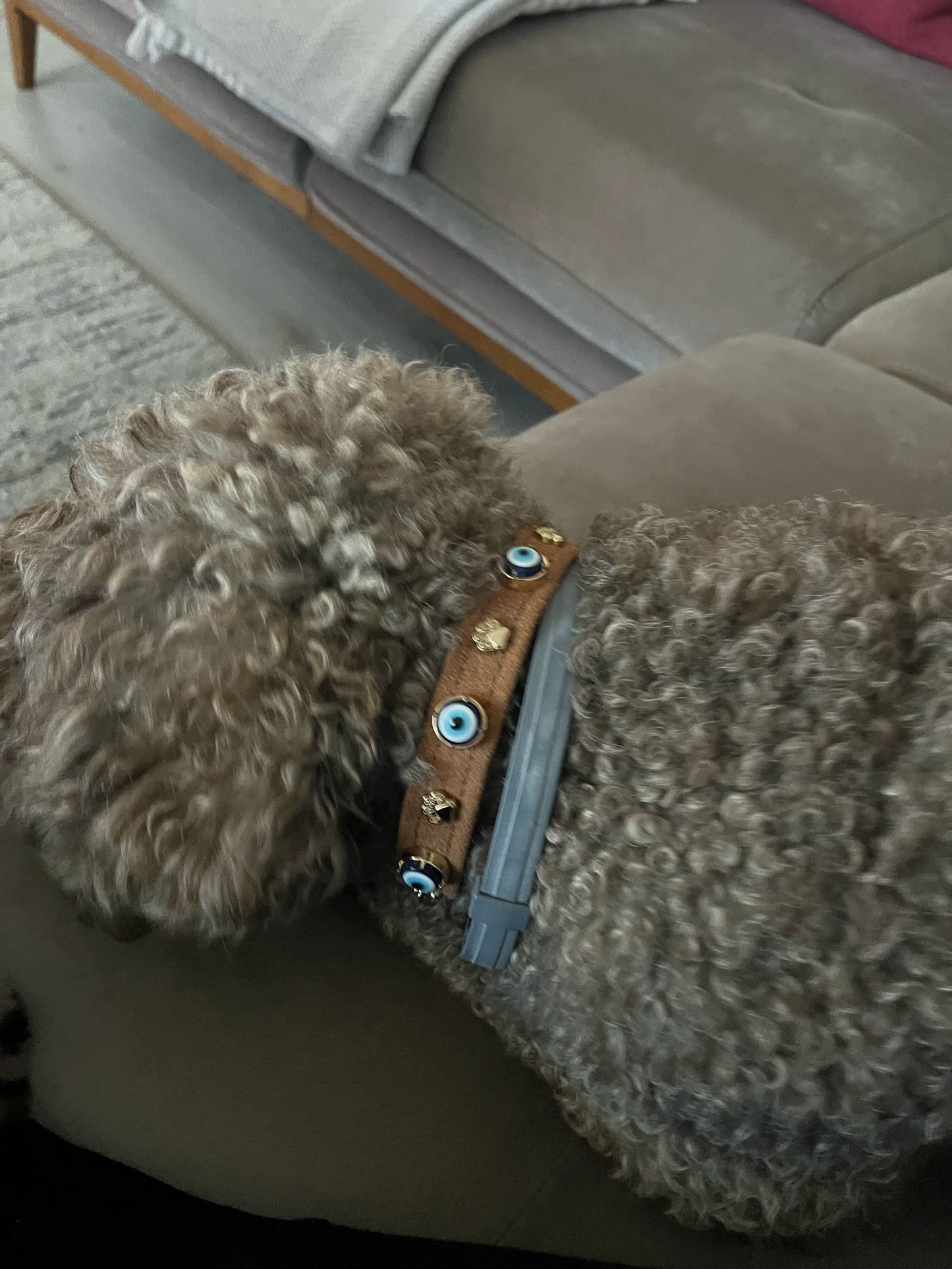 Süet Nazar Boncuklu Köpek Boyun Tasması 🧿 | Tarçın
