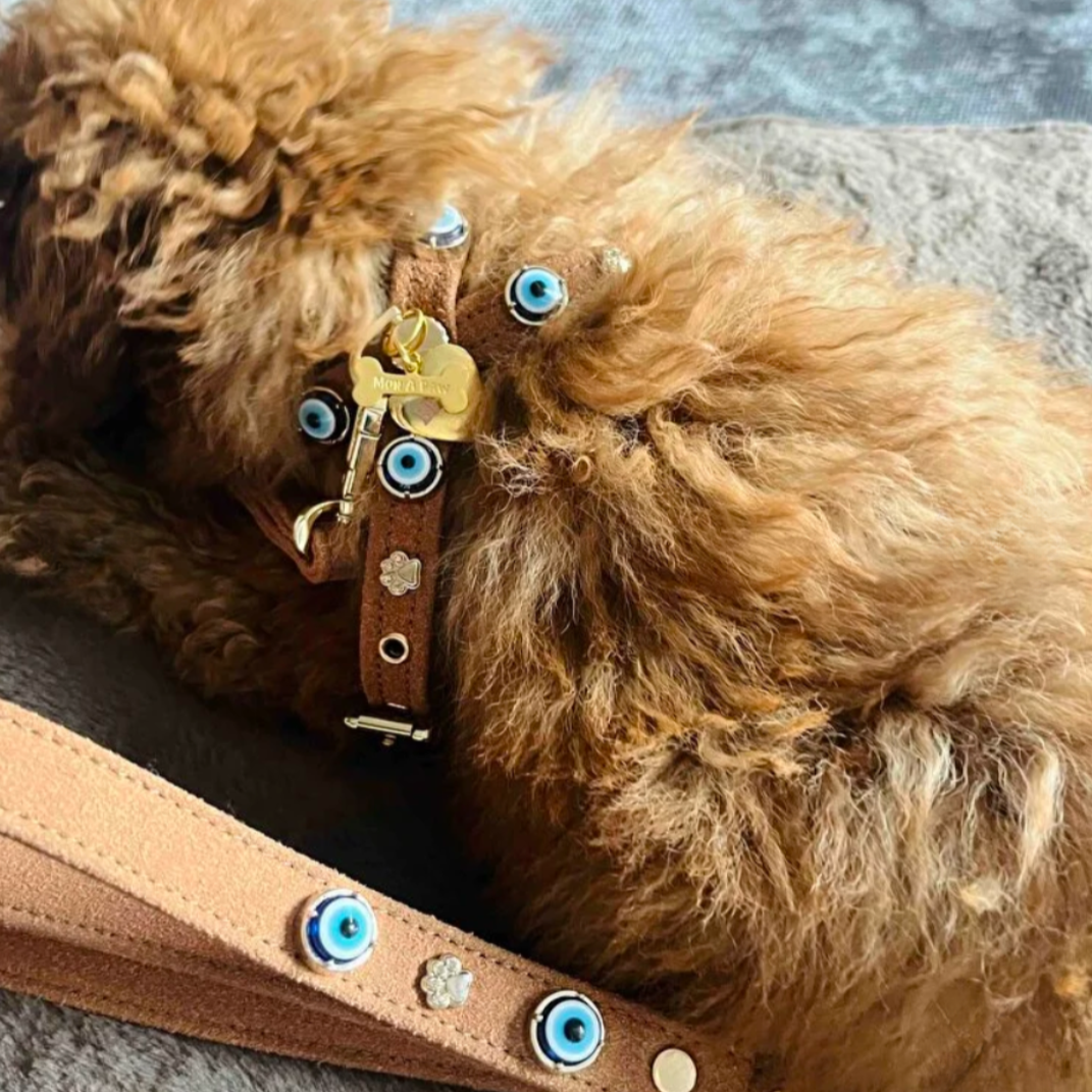 Süet Nazar Boncuklu Köpek Göğüs Tasması 🧿 | Tarçın