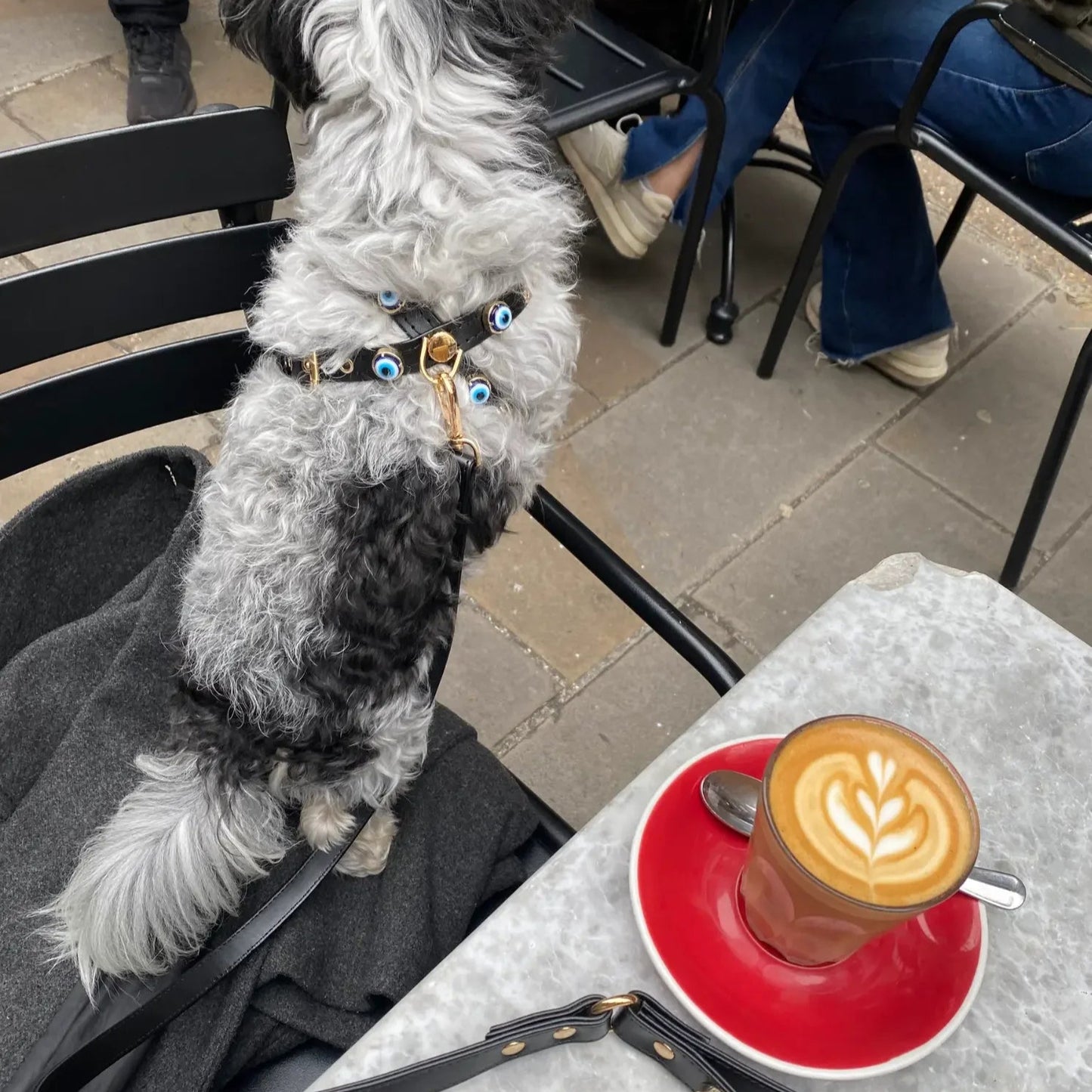 MAUVAIS Nazar Boncuklu Köpek Göğüs Tasması 🧿 | Siyah