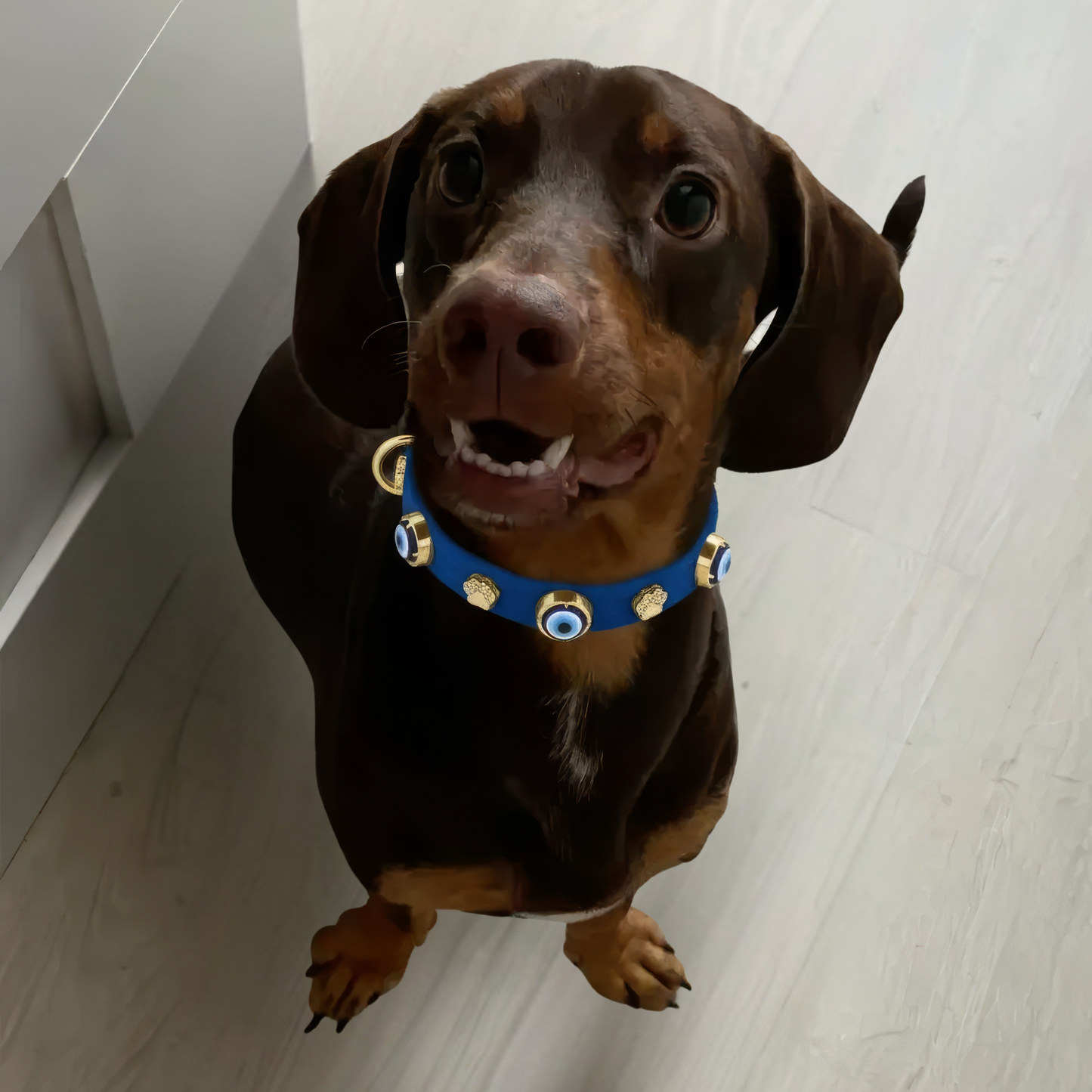 Süet Nazar Boncuklu Köpek Boyun Tasması | Royal Blue 🧿