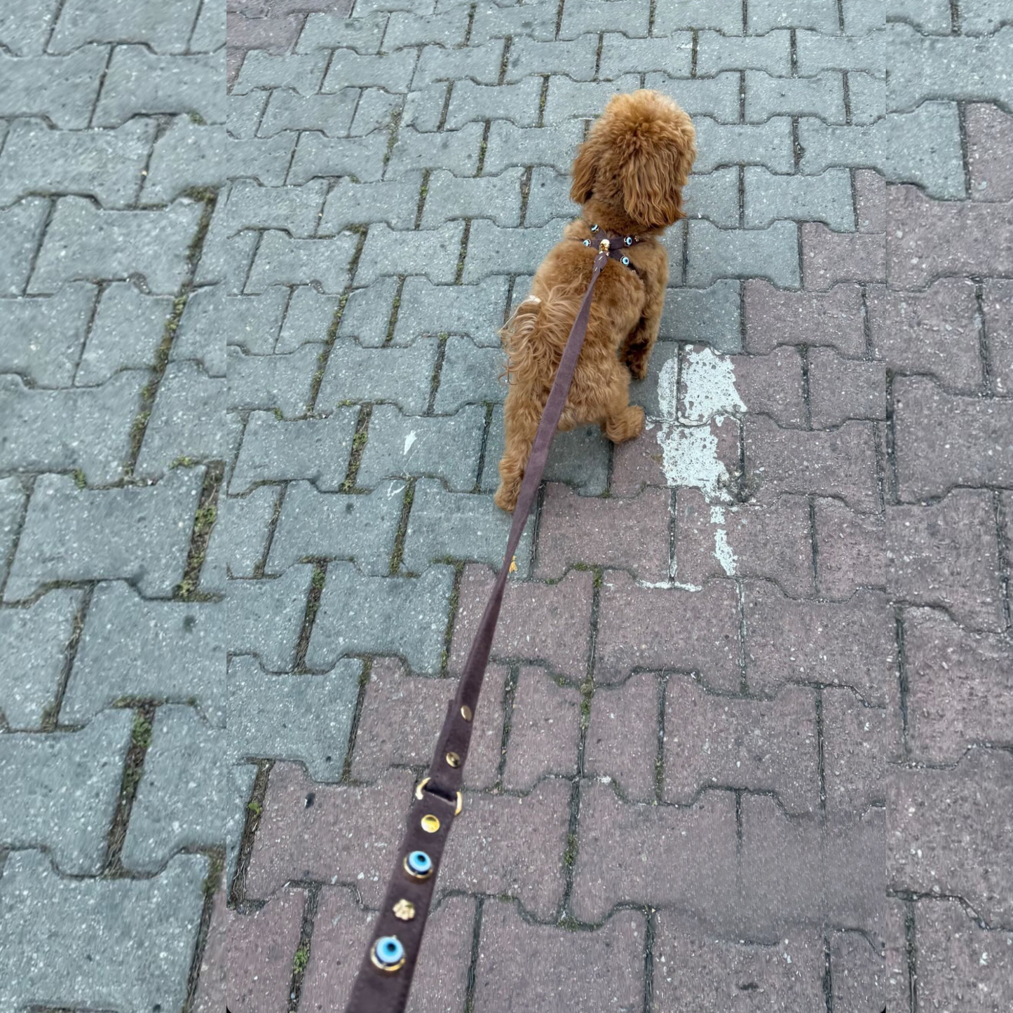 MAUVAIS Nazar Boncuklu Süet Köpek Göğüs Tasması | Bitter 🧿