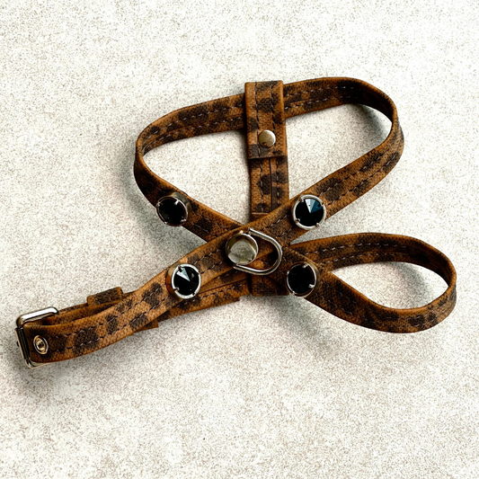 Leopard Siyah Swarovski Göğüs Tasması 🐆