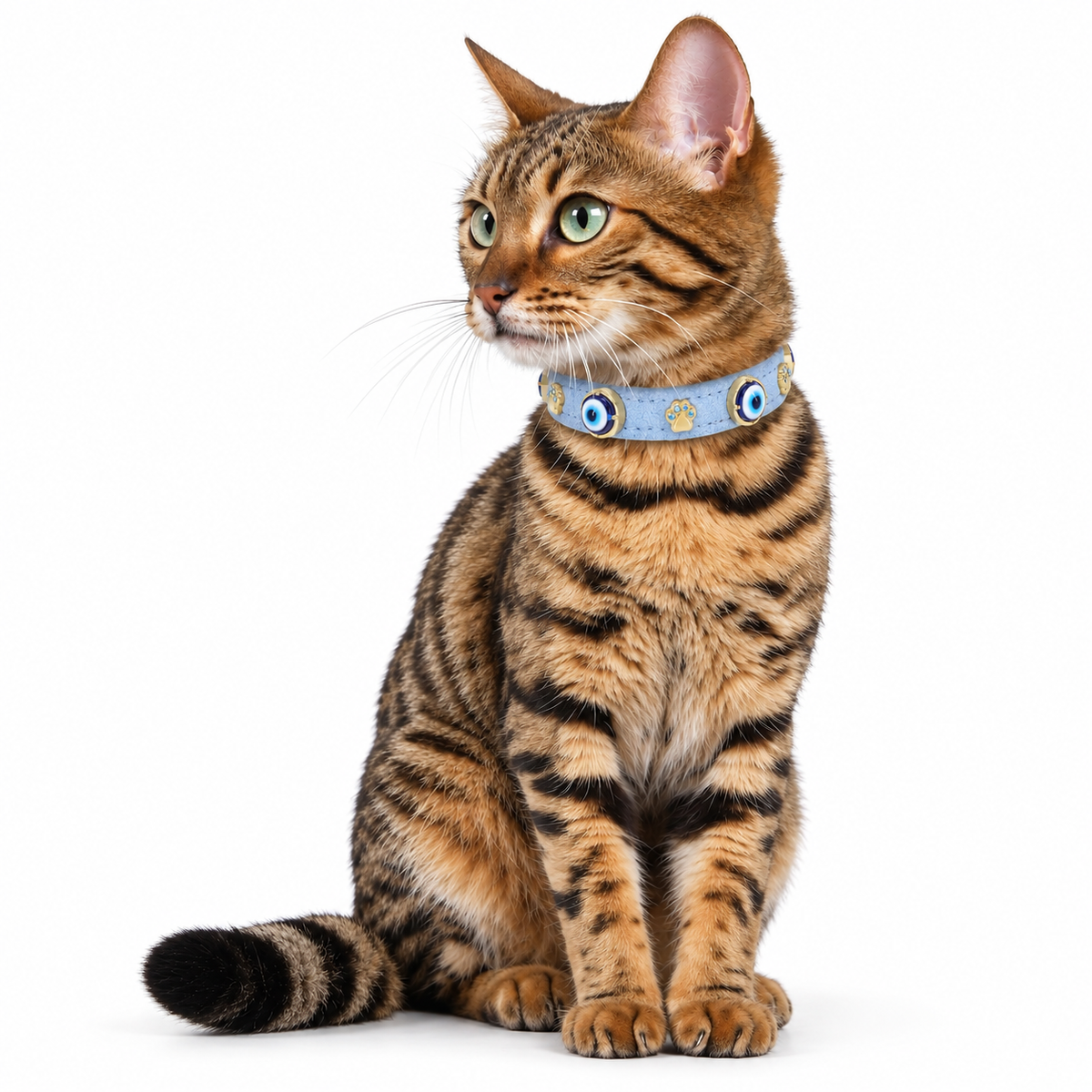 Süet Nazarlıklı Kedi Tasması | Mavi - Mon A Paw