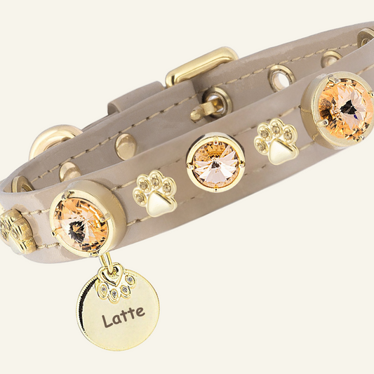 Kate Swarovski Köpek Tasması  💎