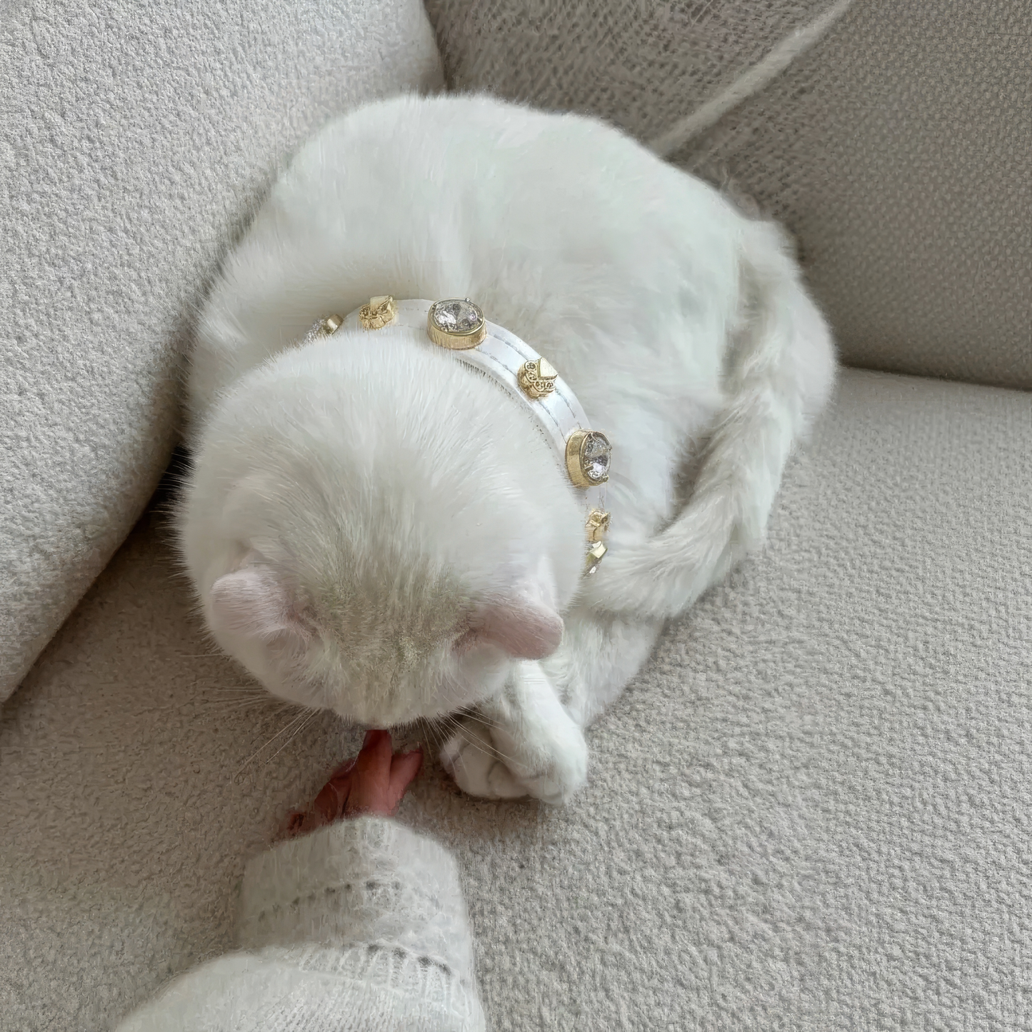 Lily Swarovski Kedi Tasması  💎