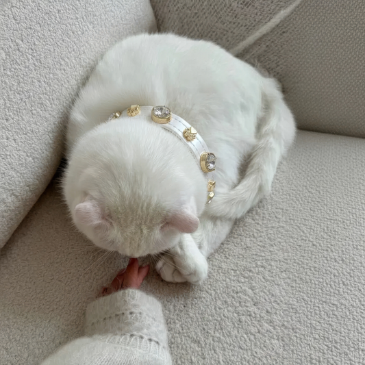 Lily Swarovski Kedi Tasması  💎