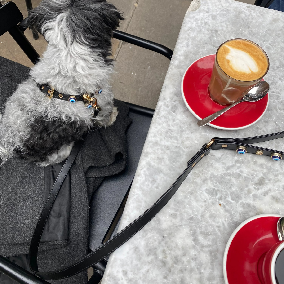 Nazarlıklı Vegan Deri Kayış Siyah, köpekle