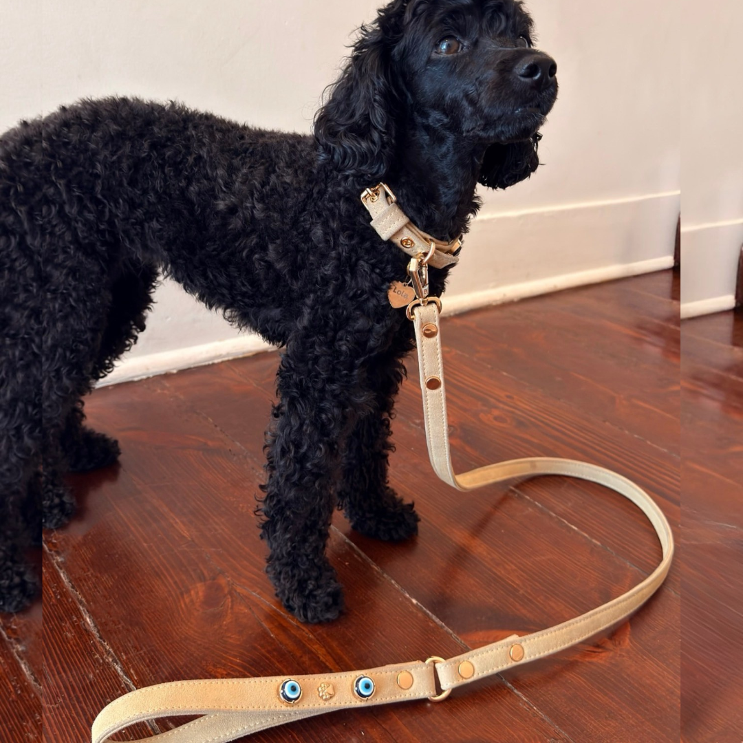 Süet Nazar Boncuklu Köpek Boyun Tasması 🧿 | Kum