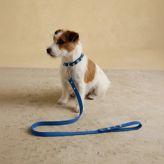 Süet Nazar Boncuklu Köpek Gezdirme Tasması | Royal Blue 🧿