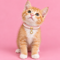 Diana İncili Kedi Tasması | Pembe
