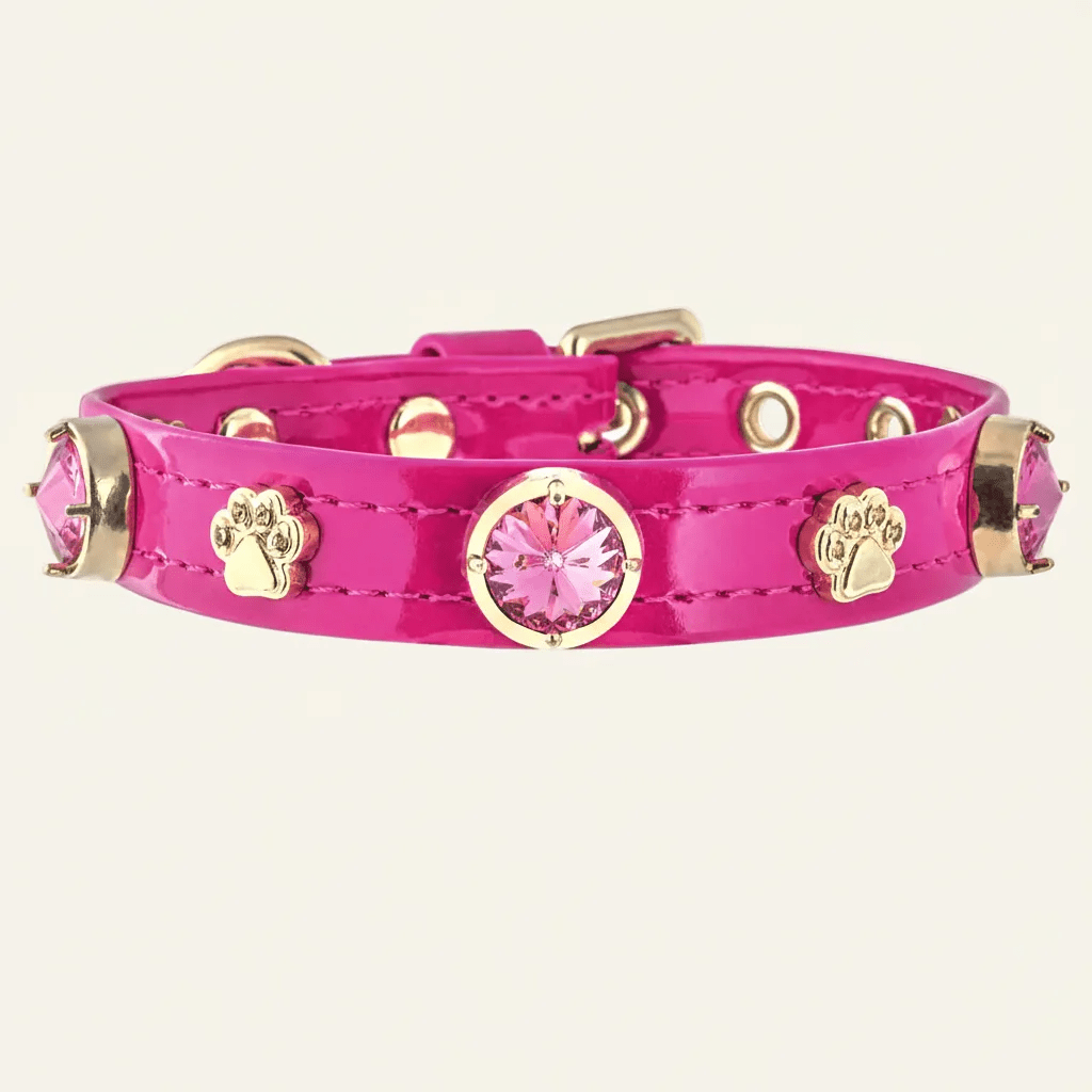 Alice Swarovski Kedi Tasması - Mon A Paw
