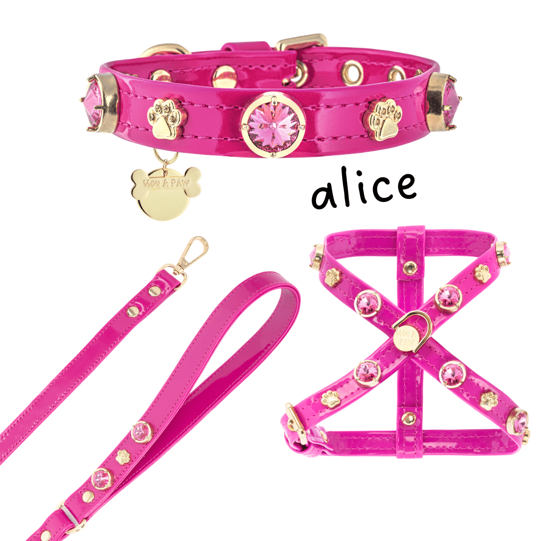 Alice Swarovski Köpek Gezdirme Tasması - Mon A PawKöpek Gezdirme Kayışı