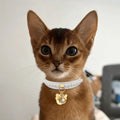Diana İncili Kedi Tasması | Beyaz