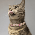 Emma Swarovski Kedi Tasması - Mon A Paw