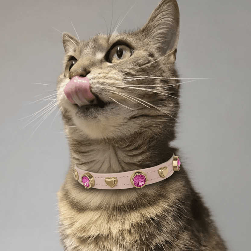 Emma Swarovski Kedi Tasması - Mon A Paw