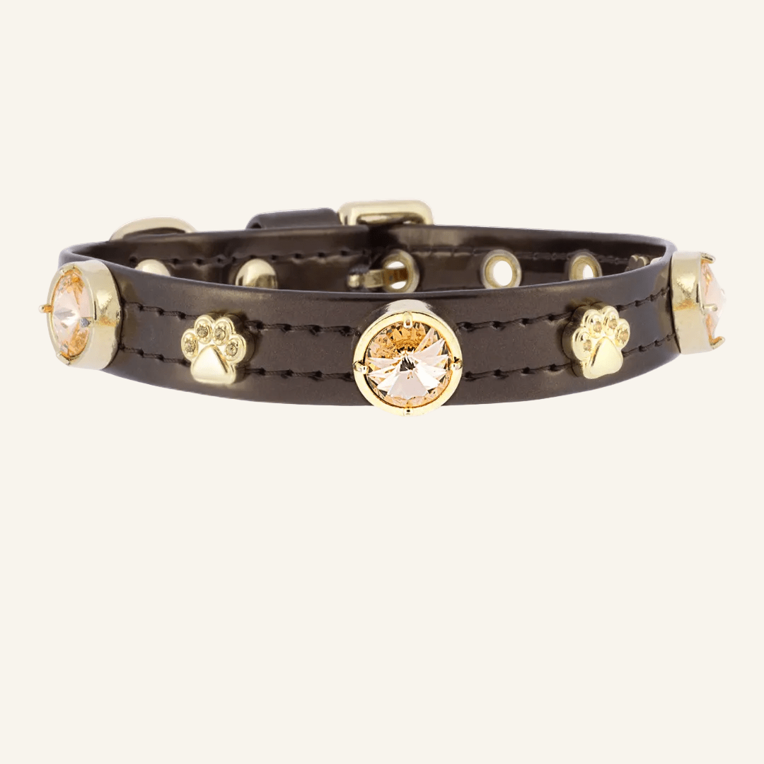 Espresso Swarovski Kedi Tasması - Mon A Paw