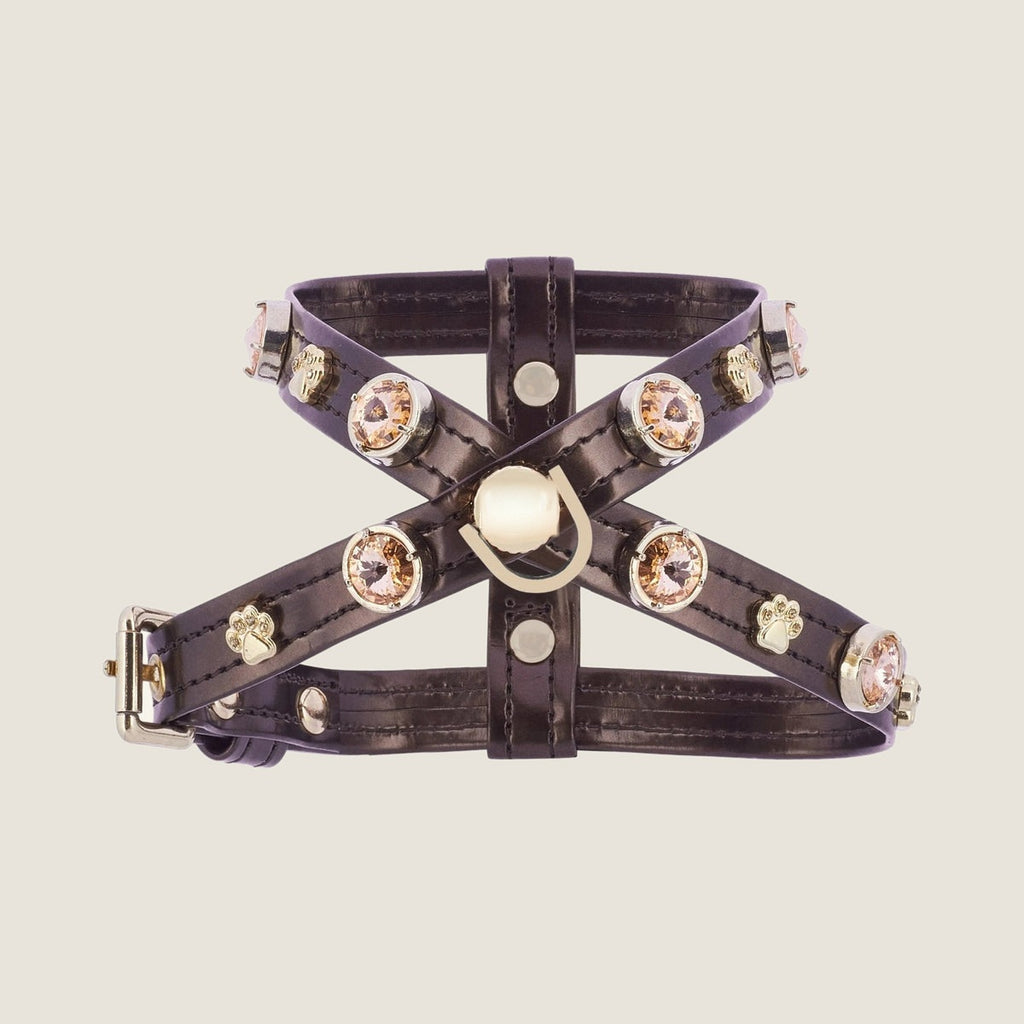 Espresso Swarovski Göğüs Tasma Yürüyüş Seti