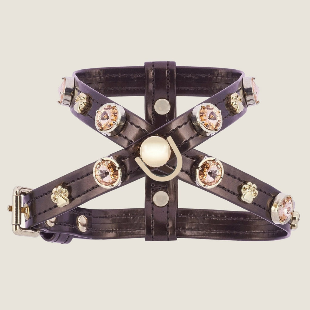 Espresso Swarovski Göğüs Tasması