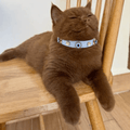 Nazarlıklı Kedi Tasması | Bebe Mavi - Mon A Paw