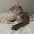 Nazarlıklı Kedi Tasması | Toz Pembe - Mon A Paw
