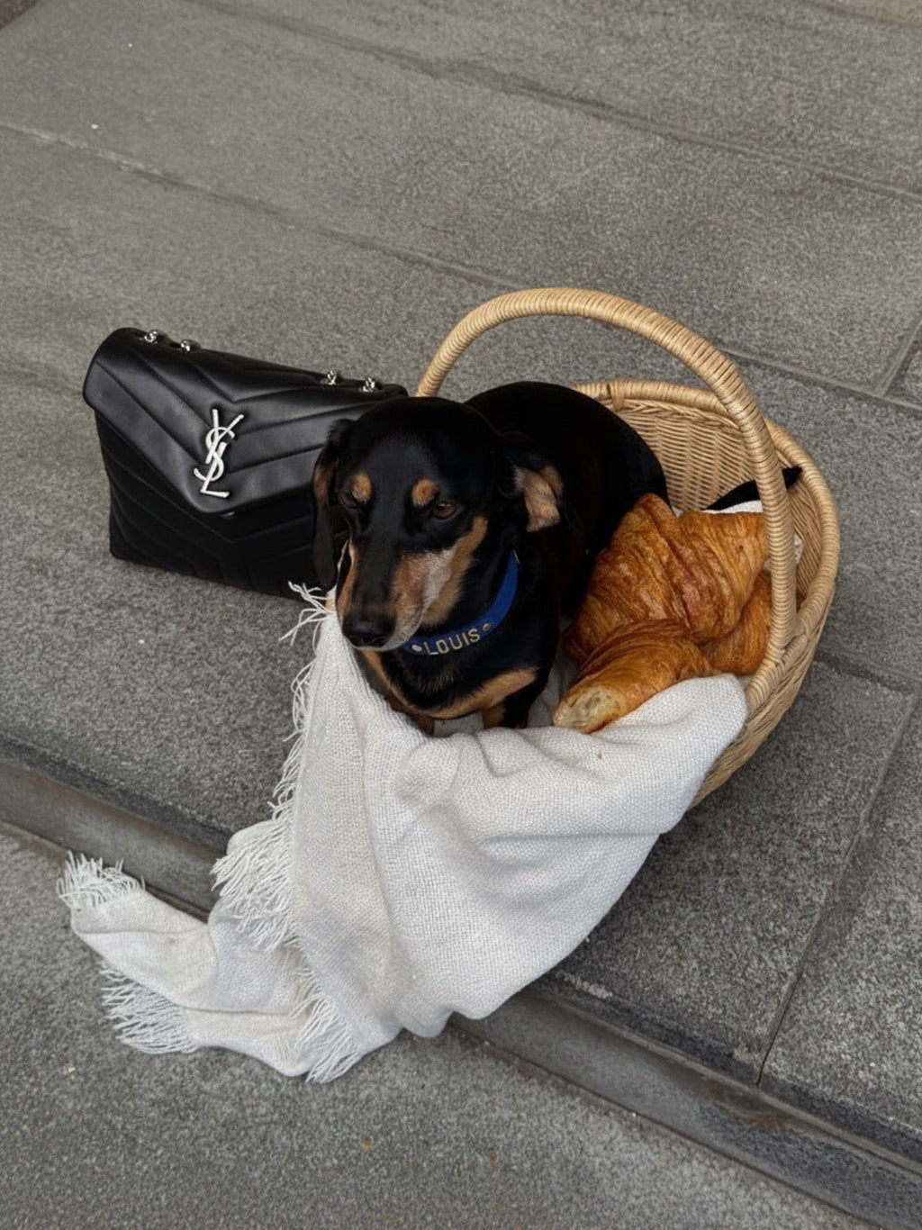 Harf Tasma - Mon A Paw