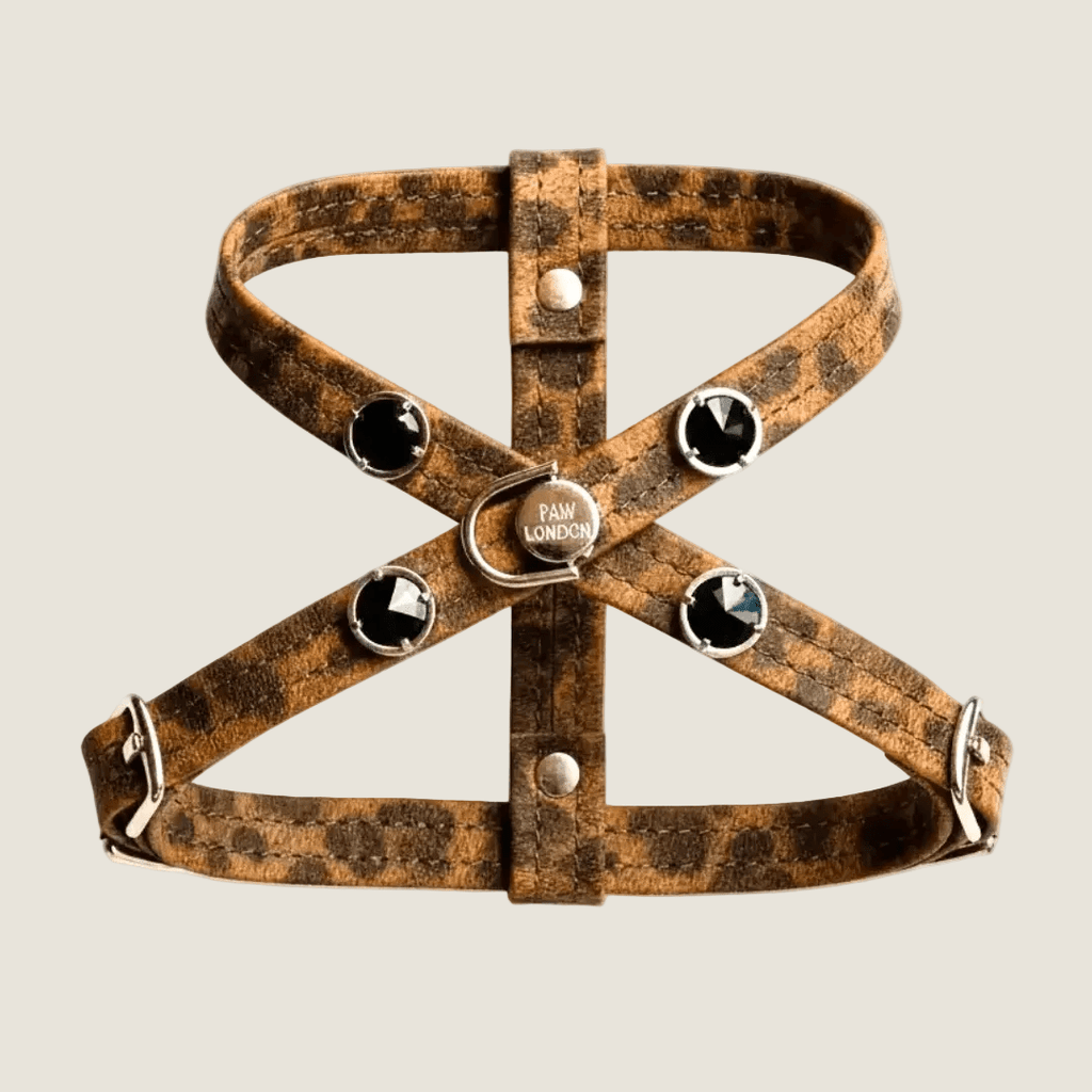 Leopard Swarovski Göğüs Tasma Yürüyüş Seti - Mon A Paw