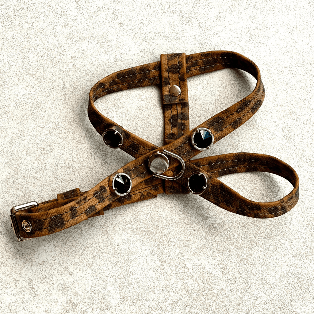 Leopard Swarovski Göğüs Tasması 🐆 - Mon A PawKöpek Göğüs Tasması