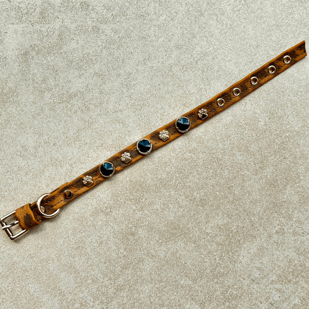 Leopard Swarovski Köpek Tasması 🐆 - Mon A PawKöpek Tasması