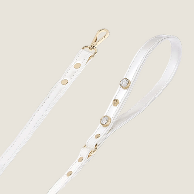 Lily Swarovski Köpek Gezdirme Tasması