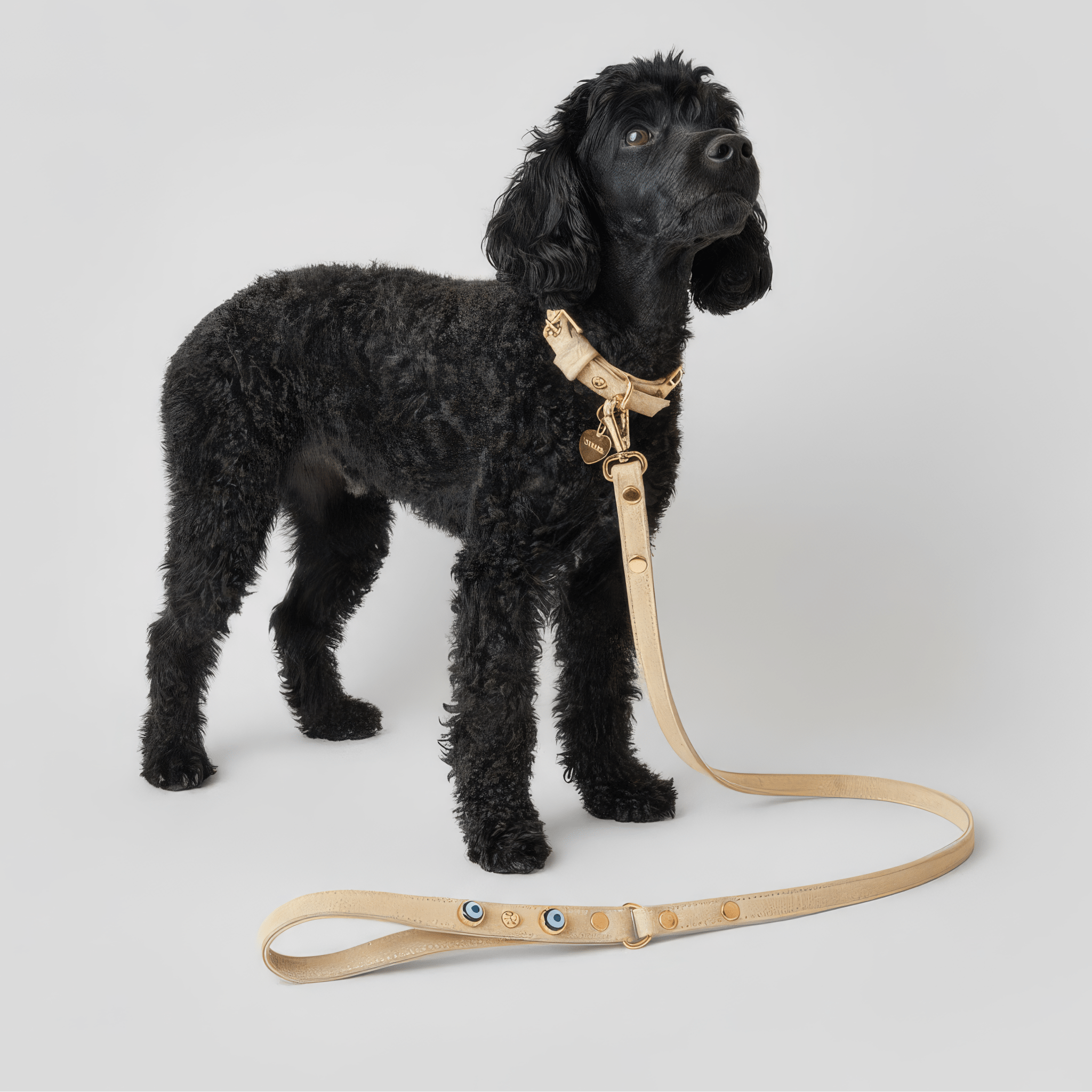 Nazarlıklı Boyun Tasması | Bej 🏝️ - Mon A Paw