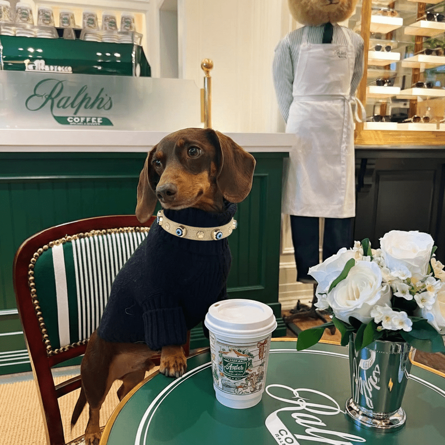 Nazarlıklı Boyun Tasması | Bej 🏝️ - Mon A Paw