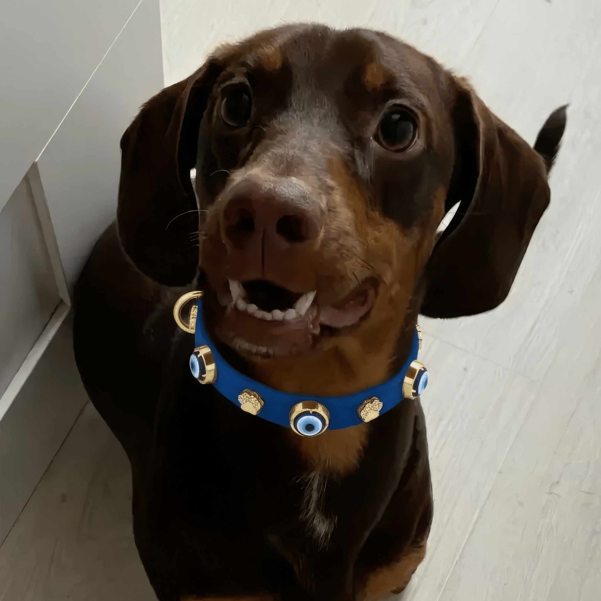 Nazarlıklı Boyun Tasması | Royal Mavi 🥯 - Mon A Paw