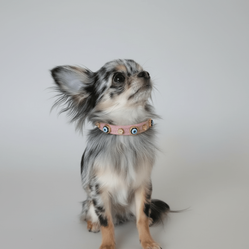 Nazarlıklı Boyun Tasması | Toz Pembe 🩷 - Mon A Paw